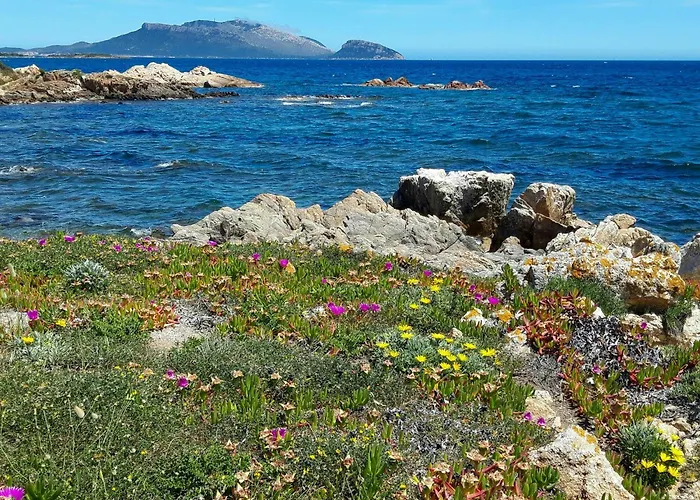 Casa de Férias By The Sea With View Of Tavolara Near Olbia
